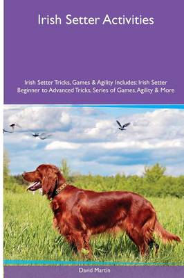 Book cover for Irish Setter Activities Irish Setter Tricks, Games & Agility. Includes