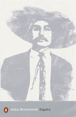 Book cover for Zapata