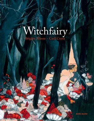 Book cover for Witchfairy