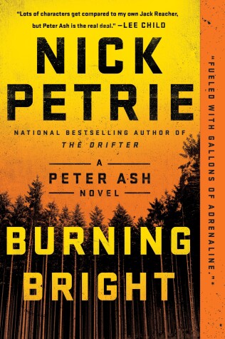 Book cover for Burning Bright