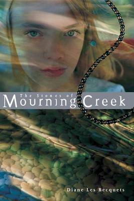 Book cover for The Stones of Mourning Creek