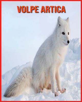 Book cover for Volpe Artica