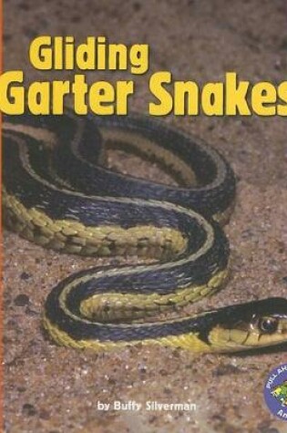 Cover of Gliding Garter Snakes