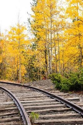 Book cover for The Autumn Train Tracks in Colorado Journal