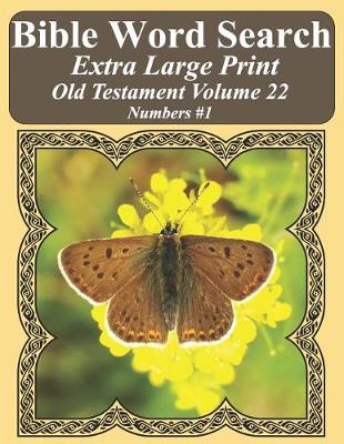 Book cover for Bible Word Search Extra Large Print Old Testament Volume 22