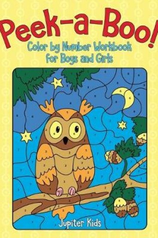 Cover of Peek-a-Boo! Color by Number Workbook for Boys and Girls