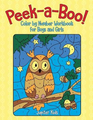 Book cover for Peek-a-Boo! Color by Number Workbook for Boys and Girls