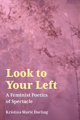 Cover of Look to Your Left