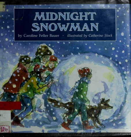 Book cover for Midnight Snowman