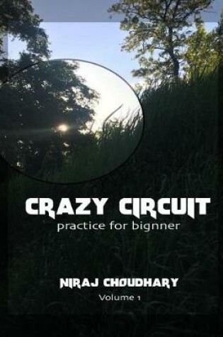 Cover of Crazy circuits