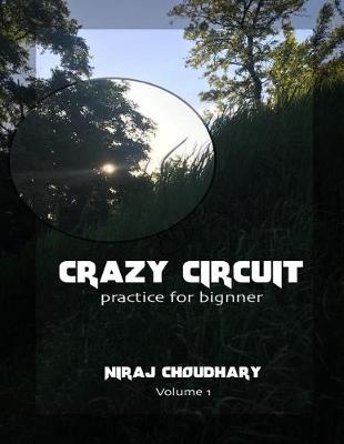 Cover of Crazy circuits