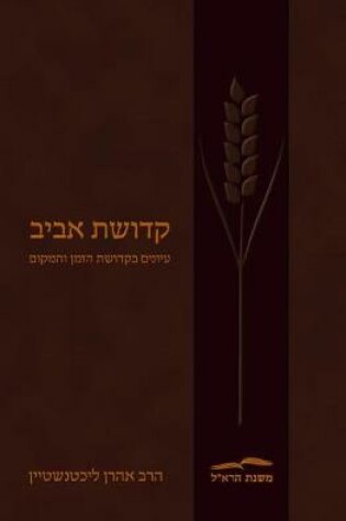 Cover of Kedushat Aviv