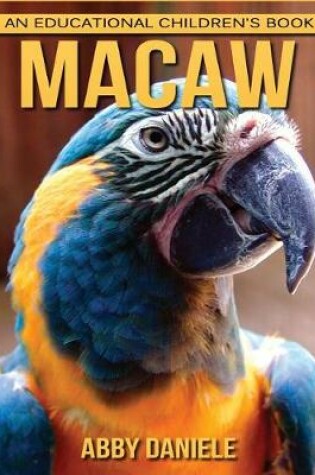 Cover of Macaw! An Educational Children's Book about Macaw with Fun Facts & Photos