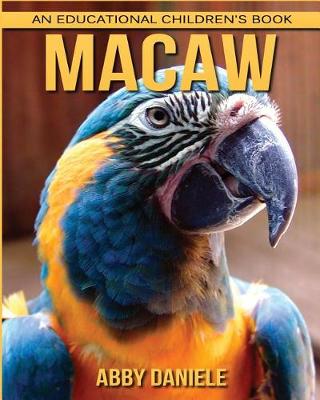 Book cover for Macaw! An Educational Children's Book about Macaw with Fun Facts & Photos