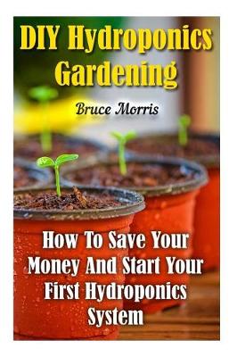 Book cover for DIY Hydroponics Gardening