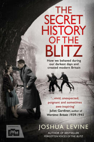 Cover of The Secret History of the Blitz