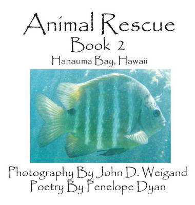 Book cover for Animal Rescue, Book 2, Hanauma Bay, Hawaii