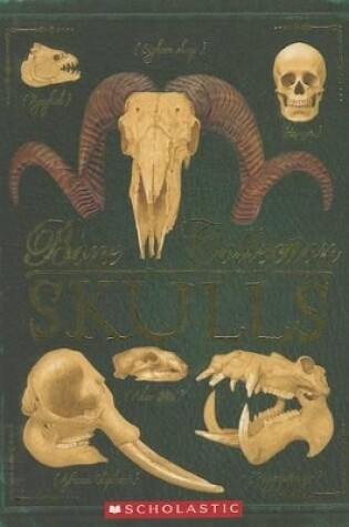 Cover of Bone Collection: Skulls