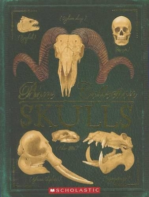 Book cover for Bone Collection: Skulls