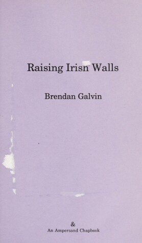 Book cover for Raising Irish Walls