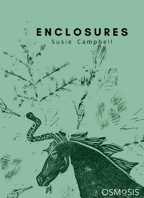 Book cover for Enclosures