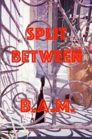 Cover of Split Between