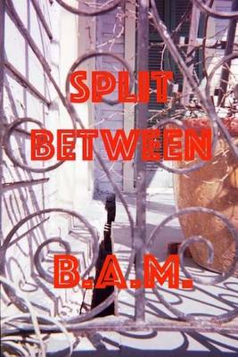 Book cover for Split Between