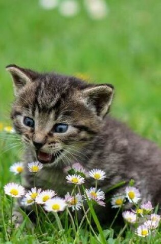 Cover of Kitty Attacking Daisy Flowers Journal