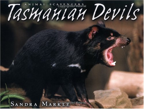 Book cover for Tasmanian Devils