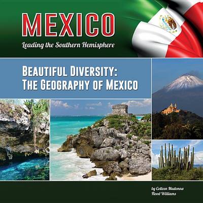 Cover of Beautiful Diversity