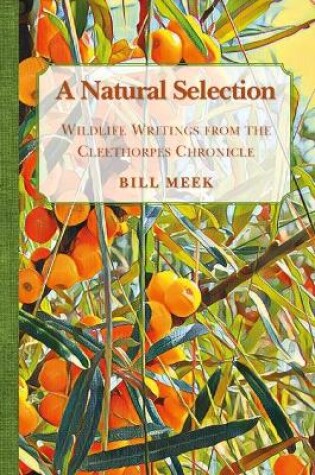 Cover of A Natural Selection