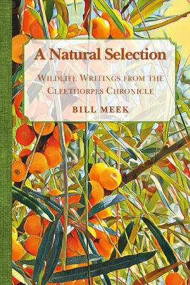 Book cover for A Natural Selection