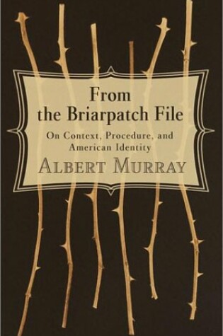 Cover of From the Briarpatch File