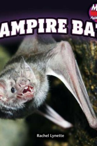 Cover of Vampire Bats