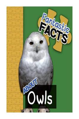Book cover for Fantastic Facts about Owls