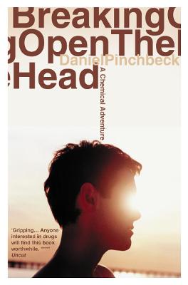 Book cover for Breaking Open the Head