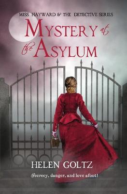 Book cover for Mystery at the Asylum