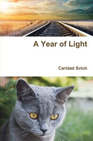 Cover of A Year of Light