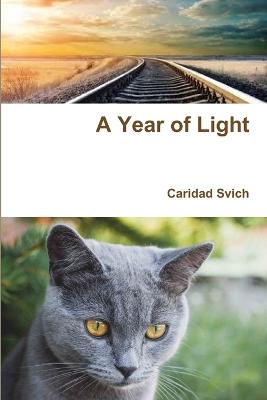 Book cover for A Year of Light