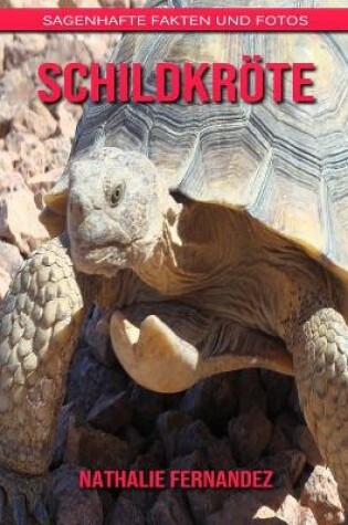 Cover of Schildkröte