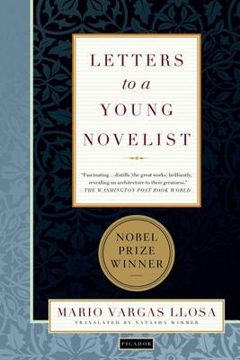 Book cover for Letters to a Young Novelist