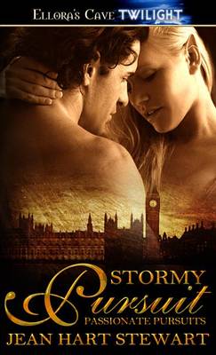 Book cover for Stormy Pursuit