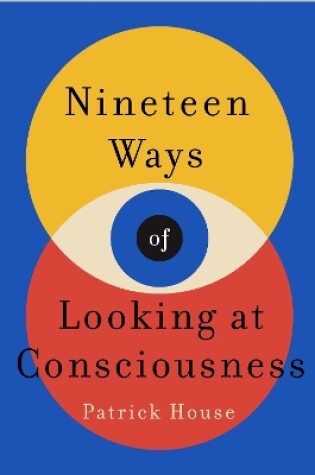 Nineteen Ways of Looking at Consciousness