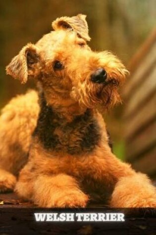 Cover of Welsh Terrier