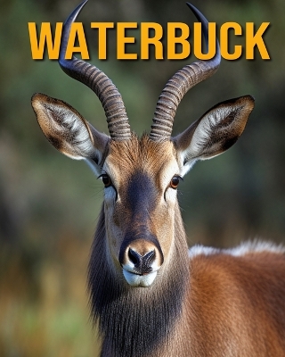 Book cover for Waterbuck