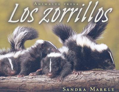 Book cover for Los Zorrillos