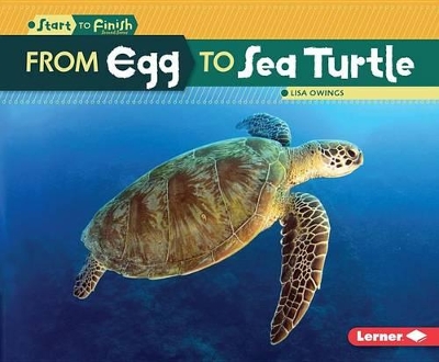 Cover of From Egg to Sea Turtle