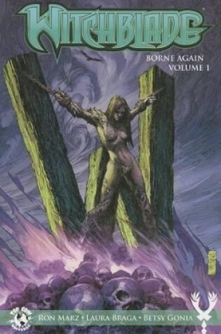 Cover of Witchblade: Borne Again Volume 1