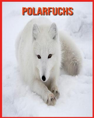 Book cover for Polarfuchs