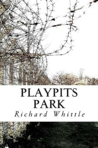 Cover of Playpits Park